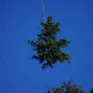 DSC00771.JPG