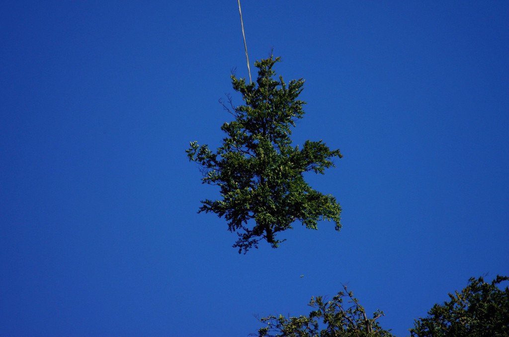 DSC00771.JPG
