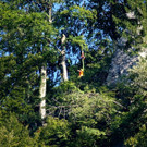 DSC00777.JPG