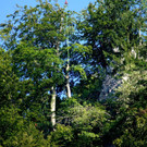 DSC00778.JPG