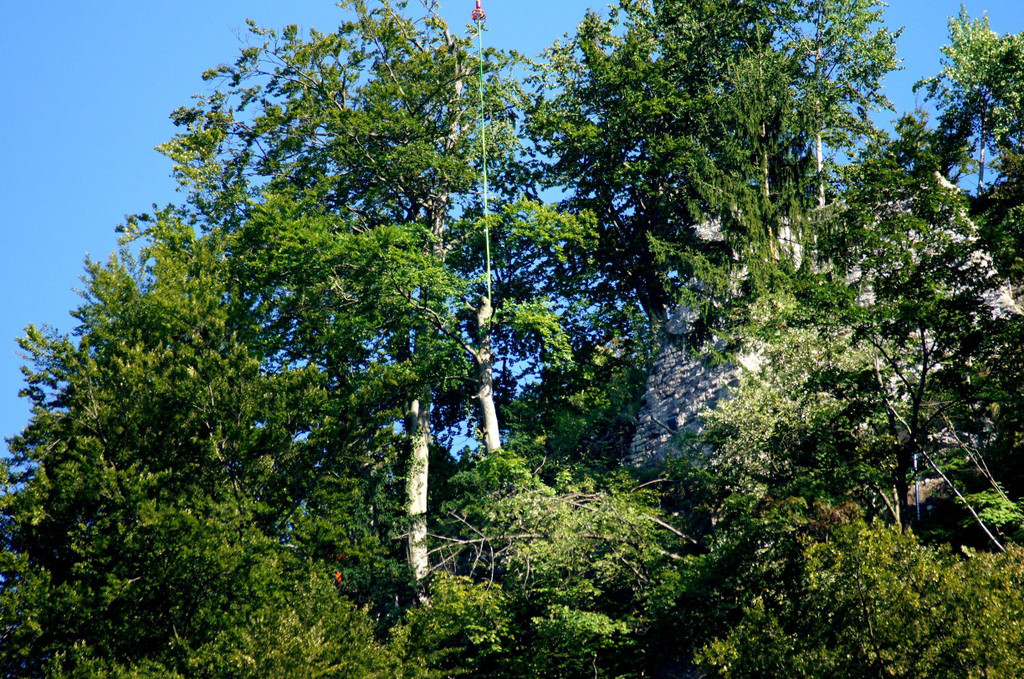DSC00778.JPG