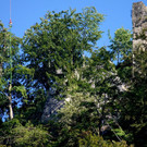 DSC00779.JPG