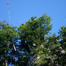 DSC00780.JPG