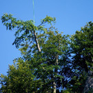 DSC00781.JPG