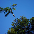 DSC00782.JPG