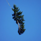 DSC00795.JPG