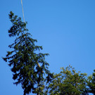 DSC00797.JPG