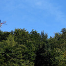 DSC00814.JPG