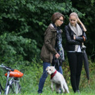 IMG_8889_jpg-1378063779