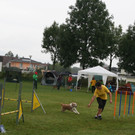 1048_JPG-1378108710
