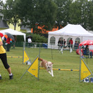 1049_JPG-1378108725