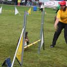 1055_JPG-1378108753