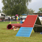 1062_JPG-1378108818