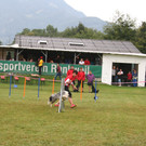 1067_JPG-1378108875