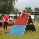 1068_JPG-1378108888