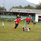 1072_JPG-1378108924
