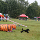 1081_JPG-1378108988