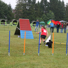 1086_JPG-1378109043