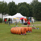 1088_JPG-1378109060