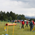 1132_JPG-1378109300