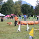 1144_JPG-1378109372