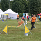 1145_JPG-1378109385