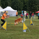 1146_JPG-1378109399