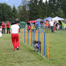 1149_JPG-1378109438