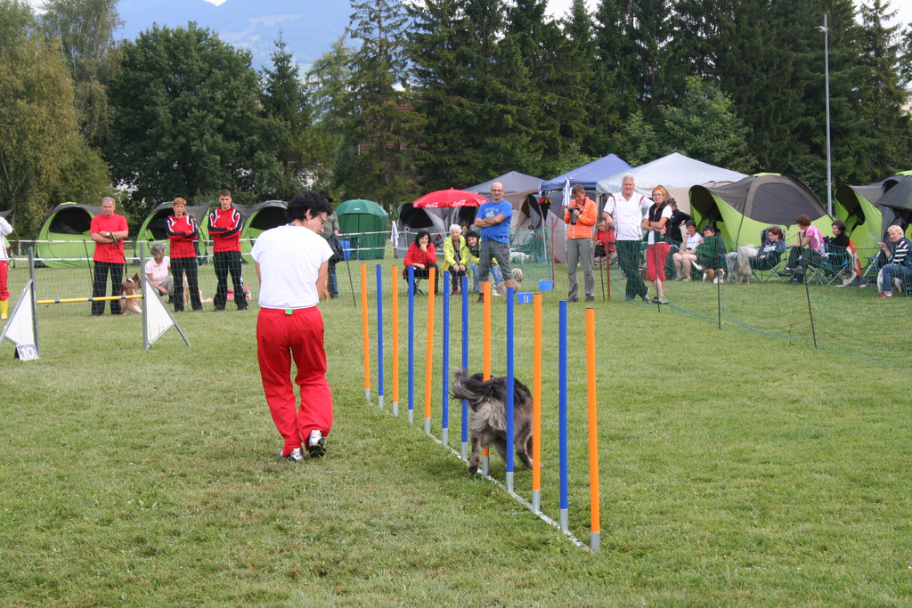 1149_JPG-1378109438