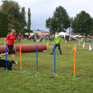 1151_JPG-1378109463