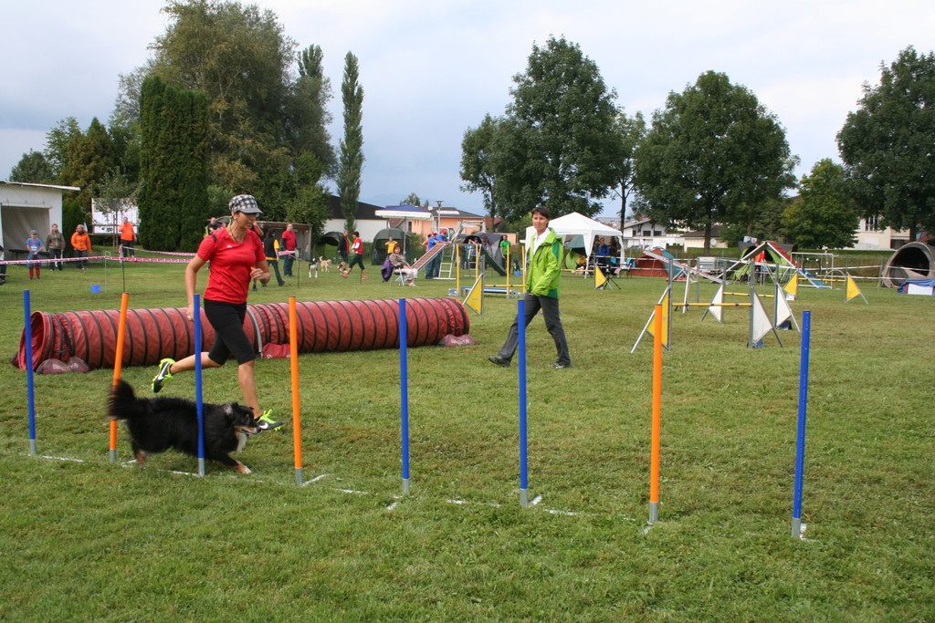 1151_JPG-1378109463