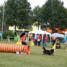 1154_JPG-1378109501