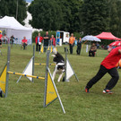 1158_JPG-1378109549