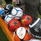 IMG_1345_JPG-1378110554