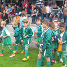 IMG_1394_JPG-1378112247
