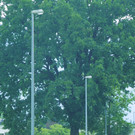 September 2 006.JPG