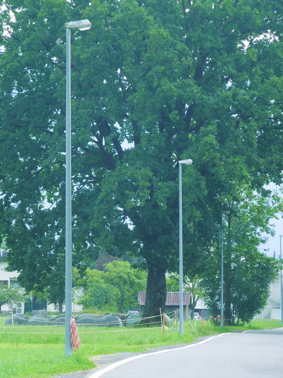 September 2 006.JPG
