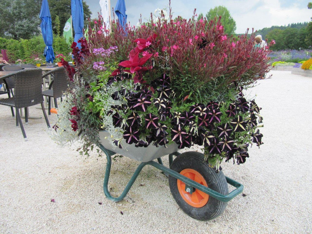 fahrbare Bl__ten_jpg-1378131186