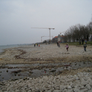 Gruene Bodensee _5__jpg-1268587569