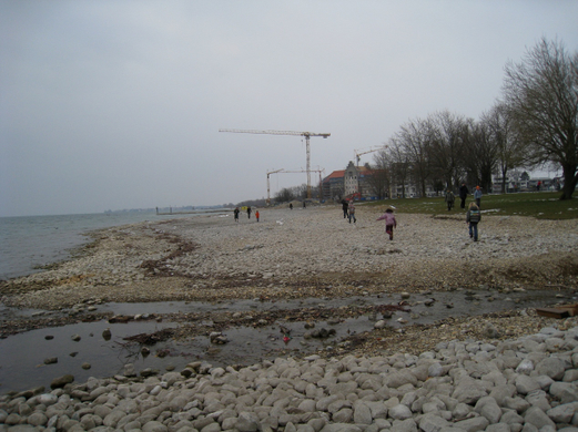 Gruene Bodensee _5__jpg-1268587569