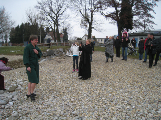 Gruene Bodensee _9__jpg-1268587643