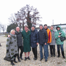 Gruene Bodensee _13__jpg-1268587718