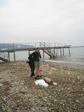 Gruene Bodensee _14__jpg-1268587730