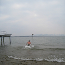 Gruene Bodensee _17__jpg-1268587771
