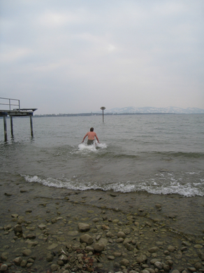 Gruene Bodensee _17__jpg-1268587771