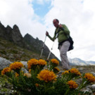 P1080365 _Large__JPG-1378139344