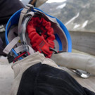 P1080369 _Large__JPG-1378139345