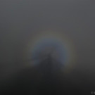 P1080394 _Large__JPG-1378139368