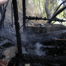 DSCN3976.JPG