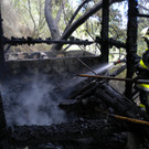 DSCN3977.JPG